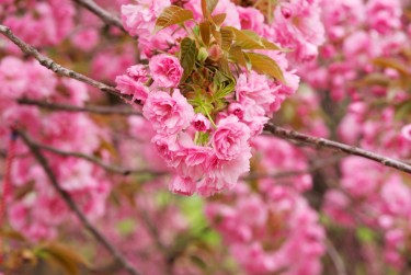 温州苍南7线下个人借款平台一站式服务，轻松解决资金难题