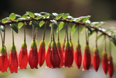 温州苍南7零用贷短借：轻松解决临时资金需求