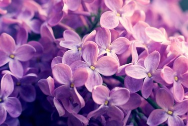 温州苍南7企业急用钱贷款攻略：快速融资解燃眉之急